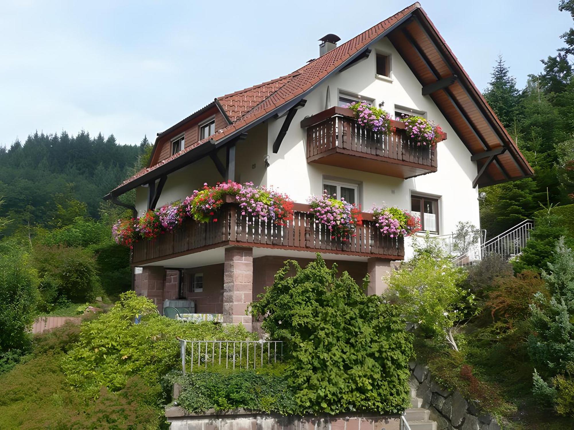 Haus Herbert Panter Bad Peterstal-Griesbach Exterior photo
