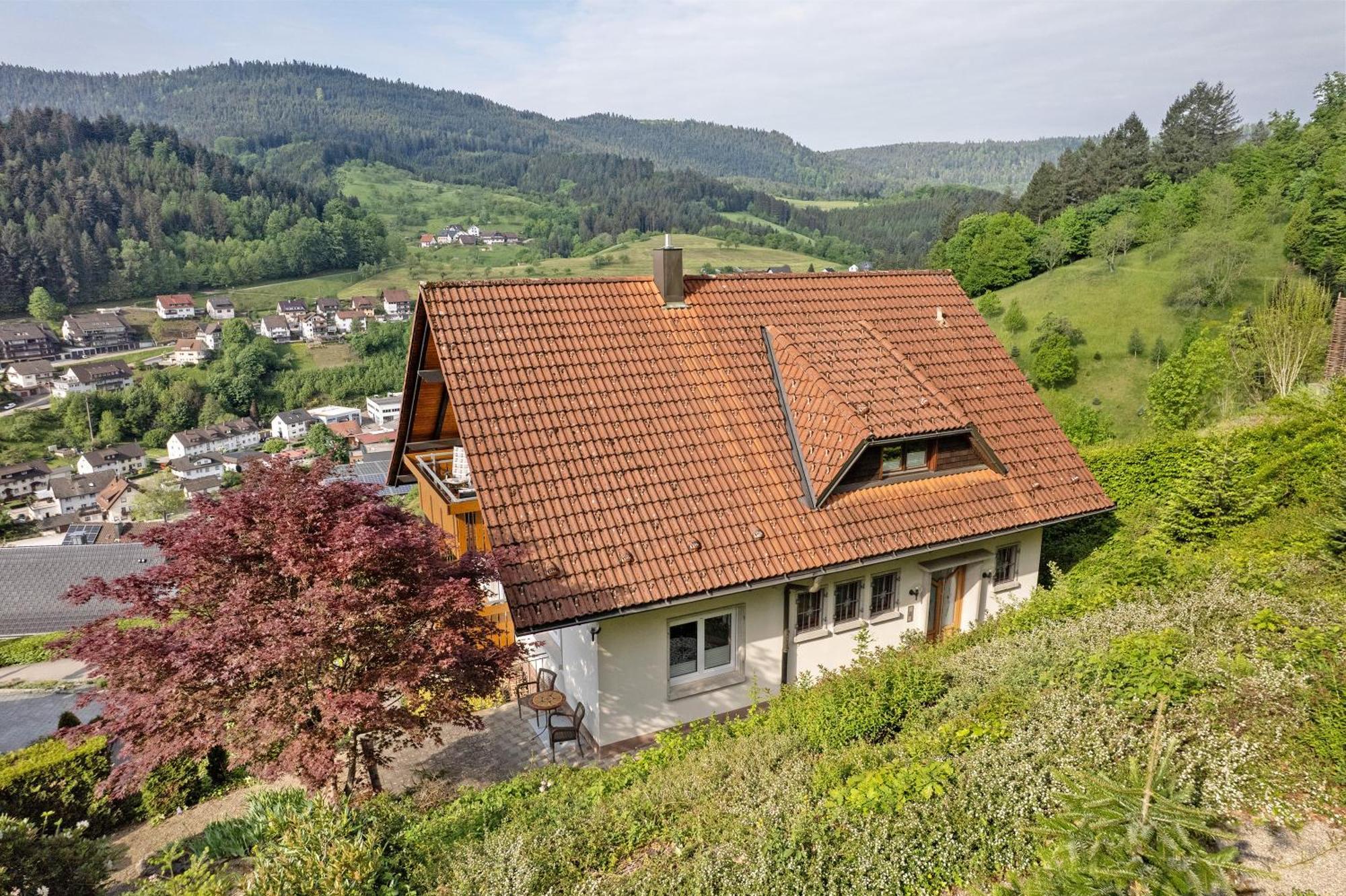 Haus Herbert Panter Bad Peterstal-Griesbach Exterior photo